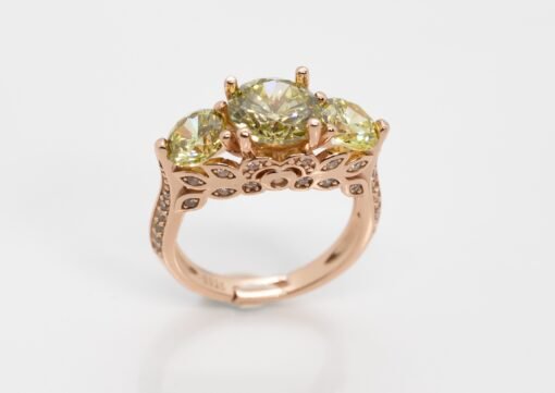 RING-111-510×361 (1) RING-111-510×361 (1)