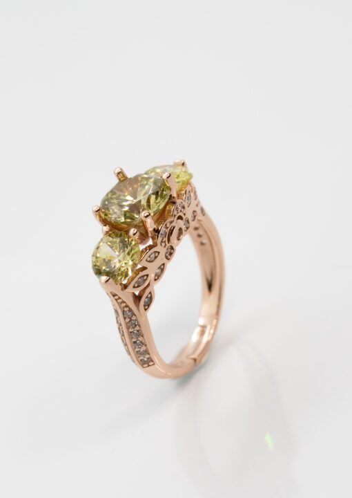 RING-113-510×720 RING-113-510×720