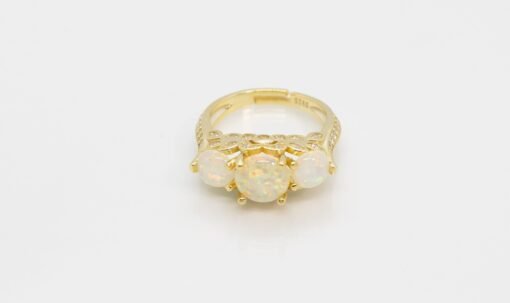 RING-116-scaled-510×303 RING-116-scaled-510×303