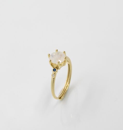 RING-67-510×538 RING-67-510×538